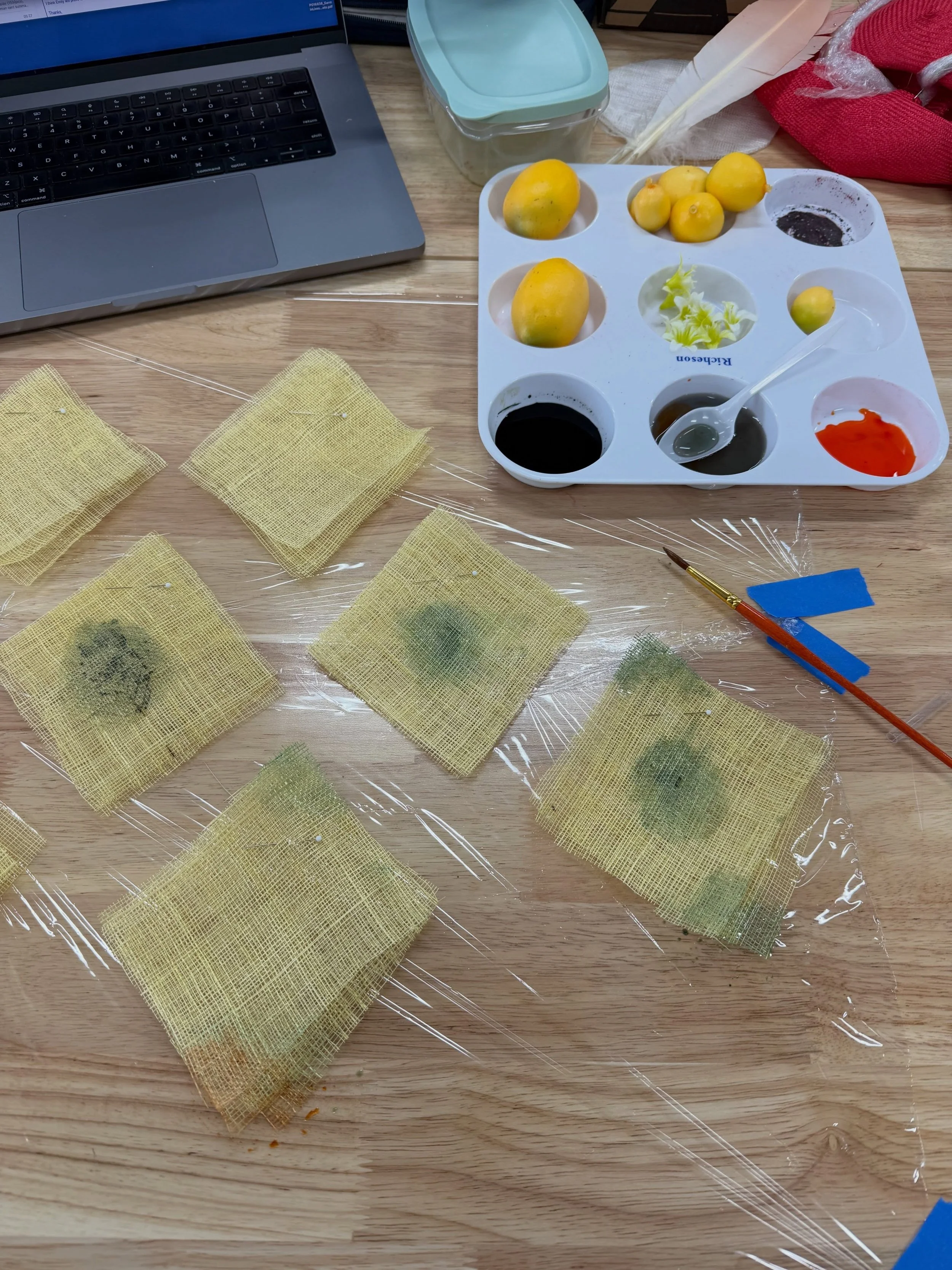Making Lemonssssss 😻😻😻.
#millinerycouture #dyeing #lemon #headpiece #karenmorrismillinery