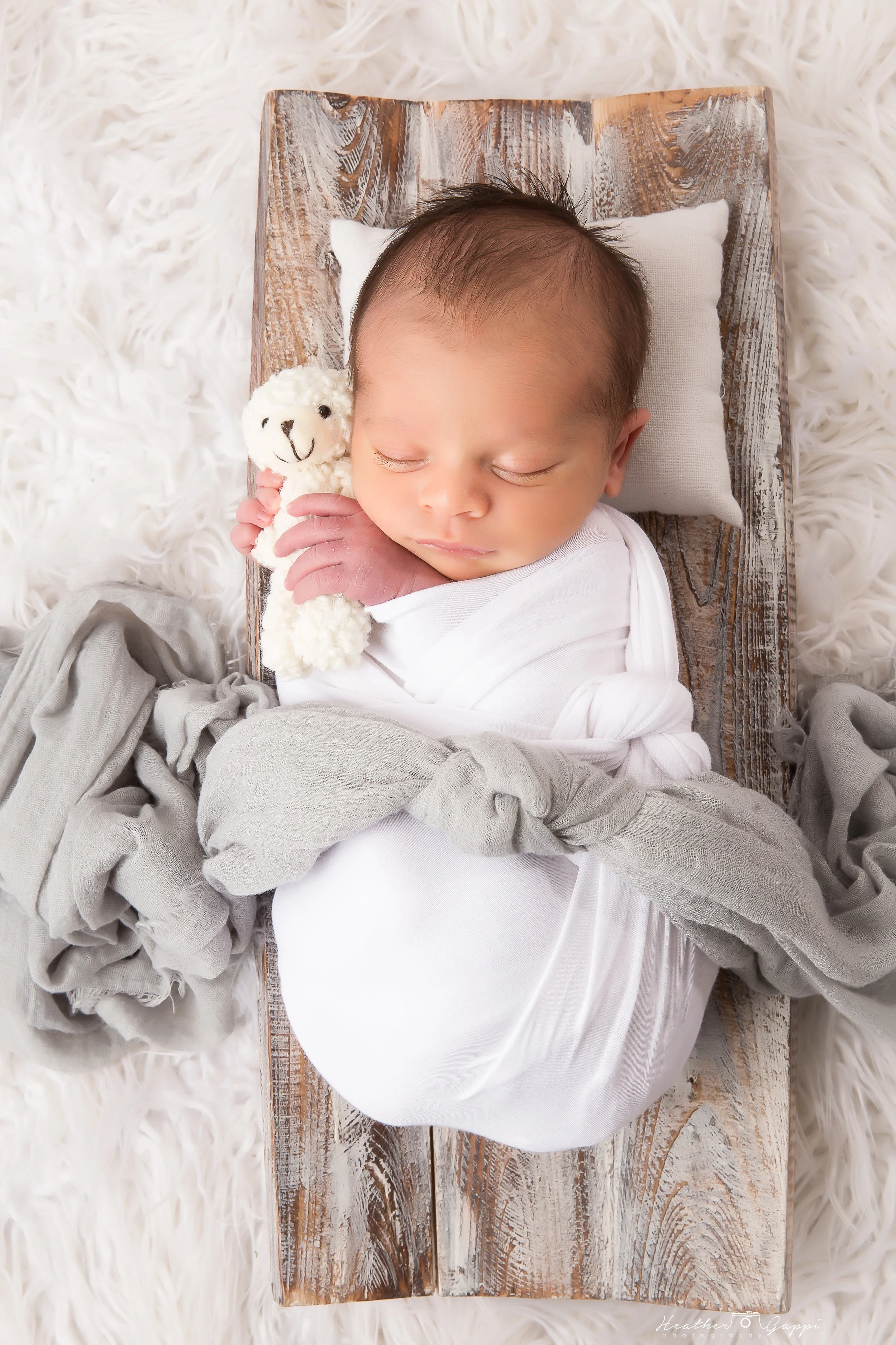 Newborn Session