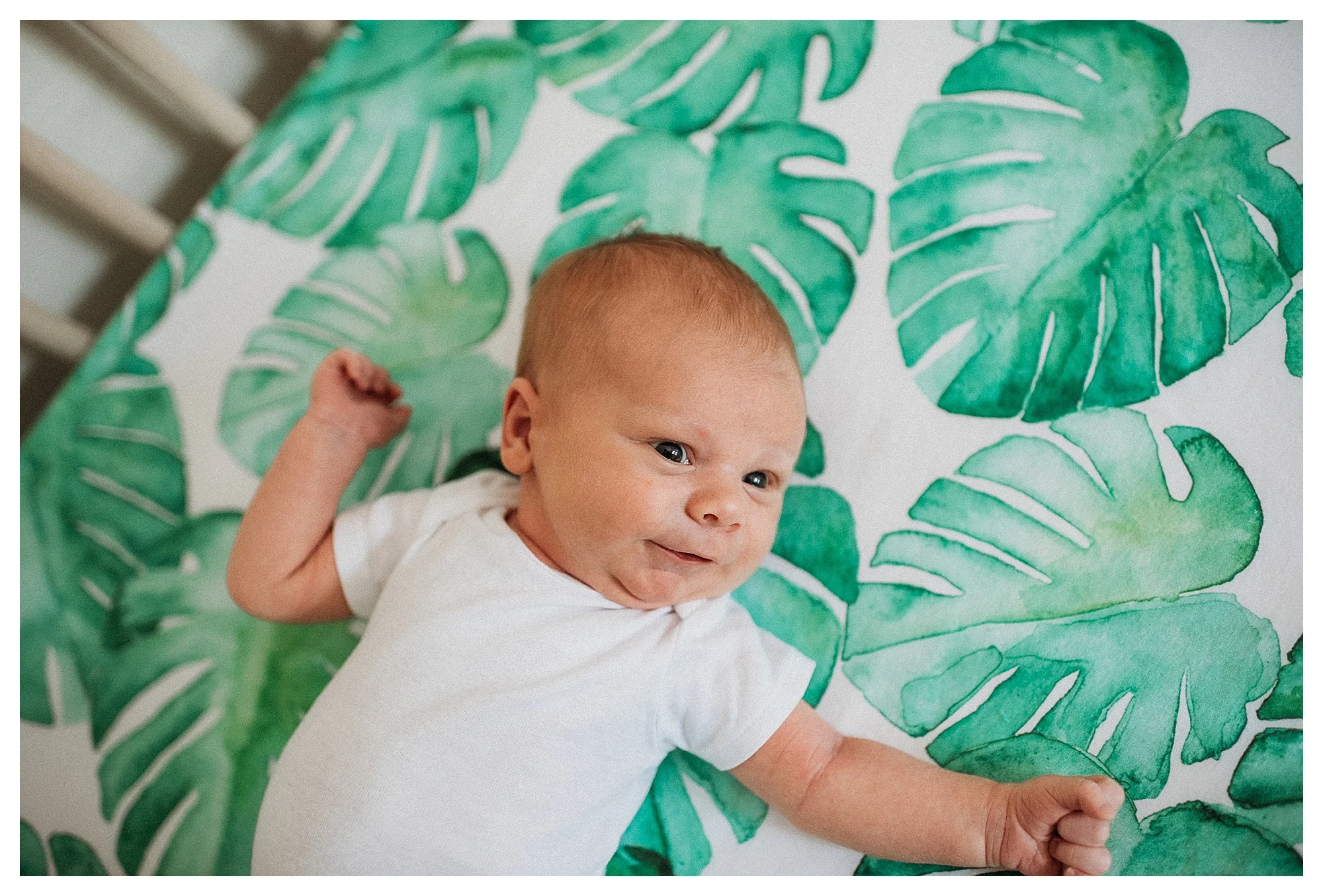 lake county newborn photographer, lifestyle photography, chicago phootgrapher, newborn, baby led, organic, bella nicole photography