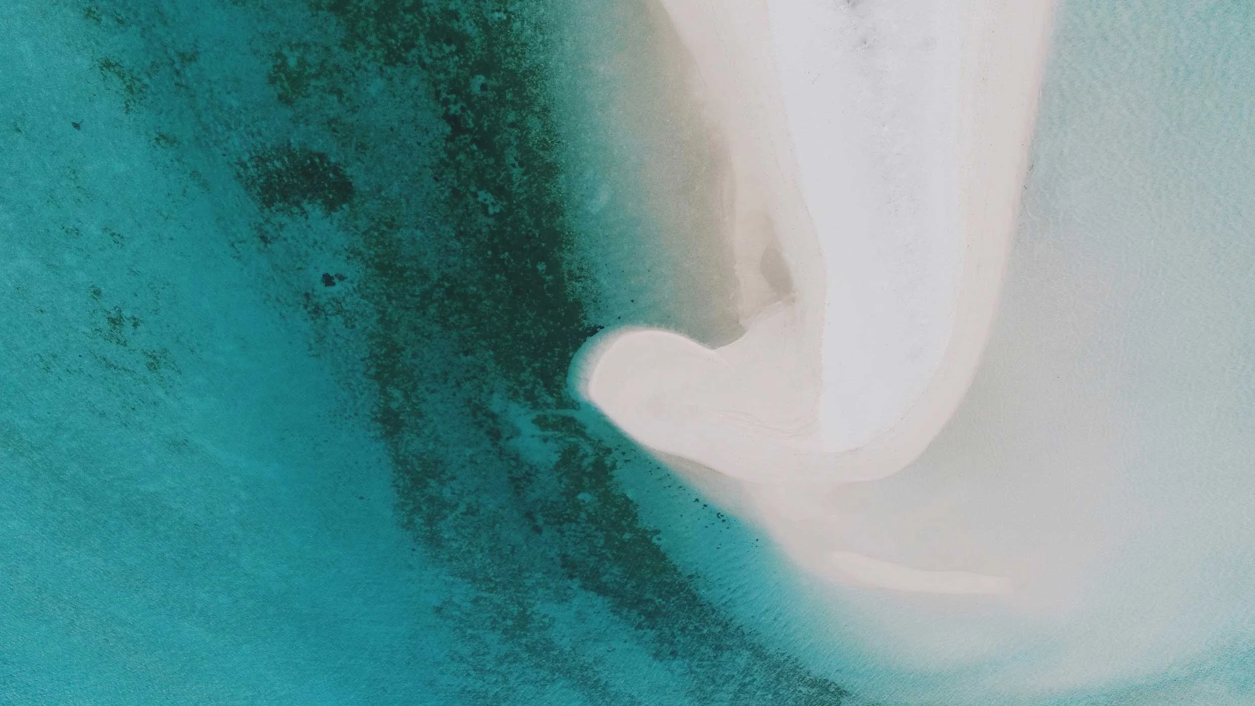 Websites that are tailored for your business