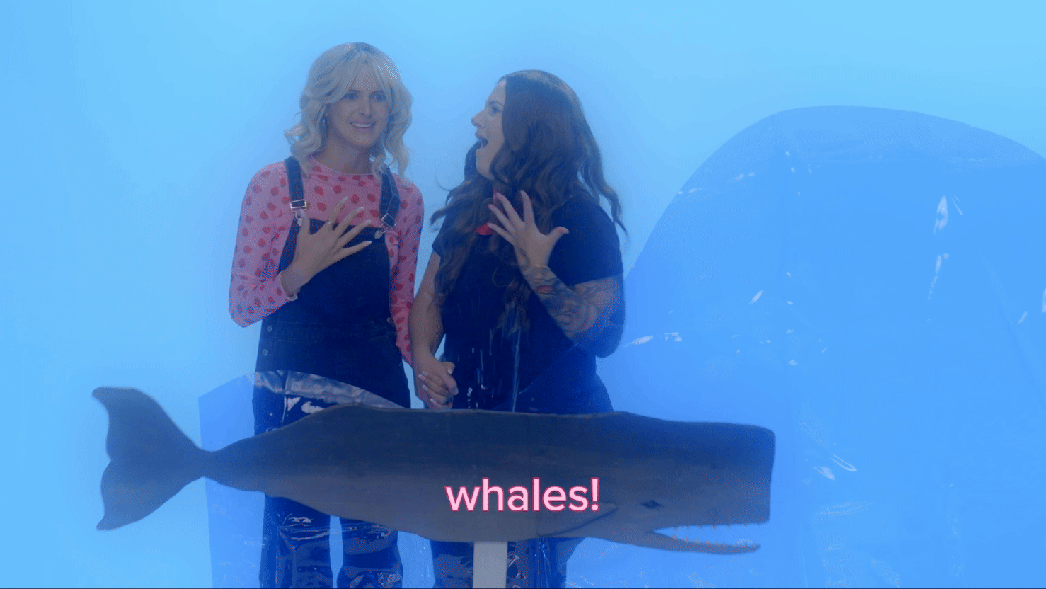 Adobe Express 2025-01-13 11.10.11.gif