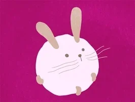 IMG_4575.webp