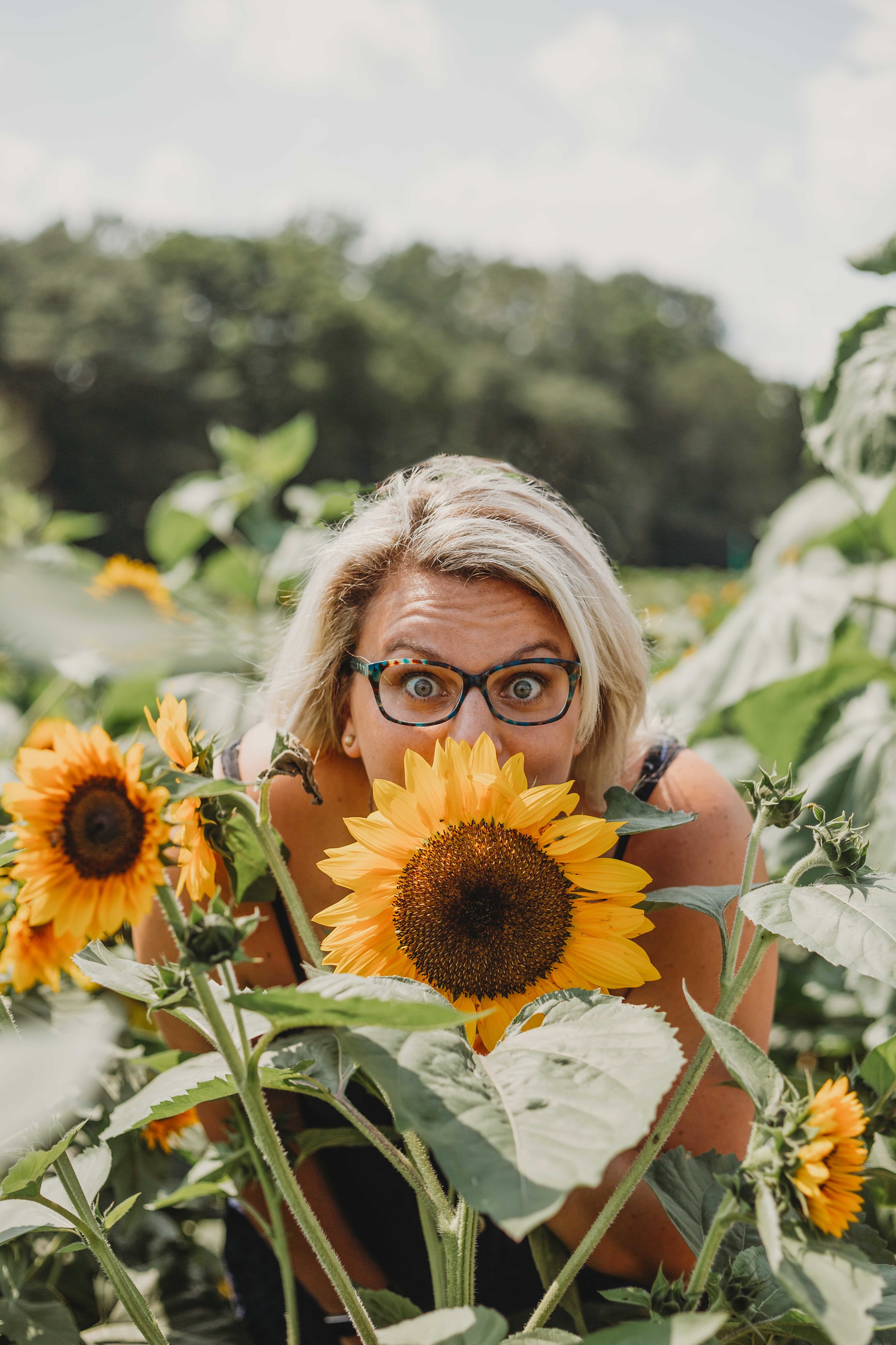 sunflowersusall (30 of 104).jpg