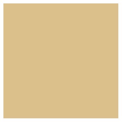 Sandy Beige