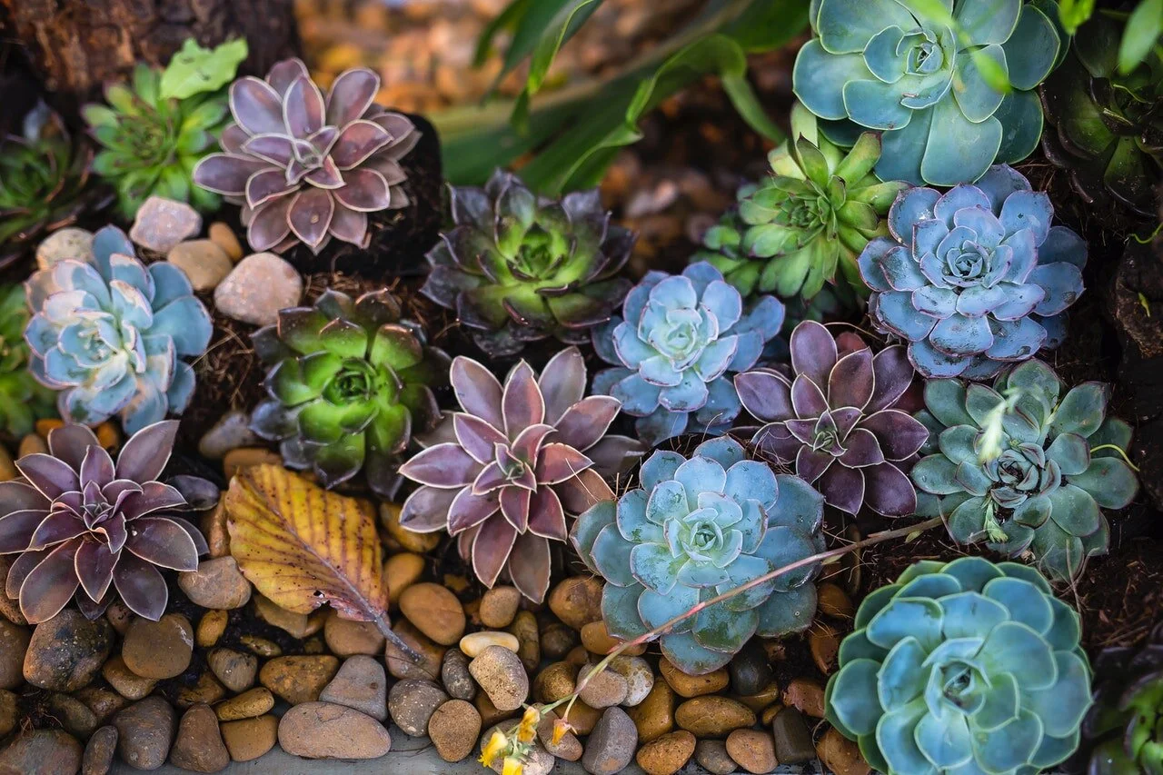 Ways to Use Landscaping Pebbles