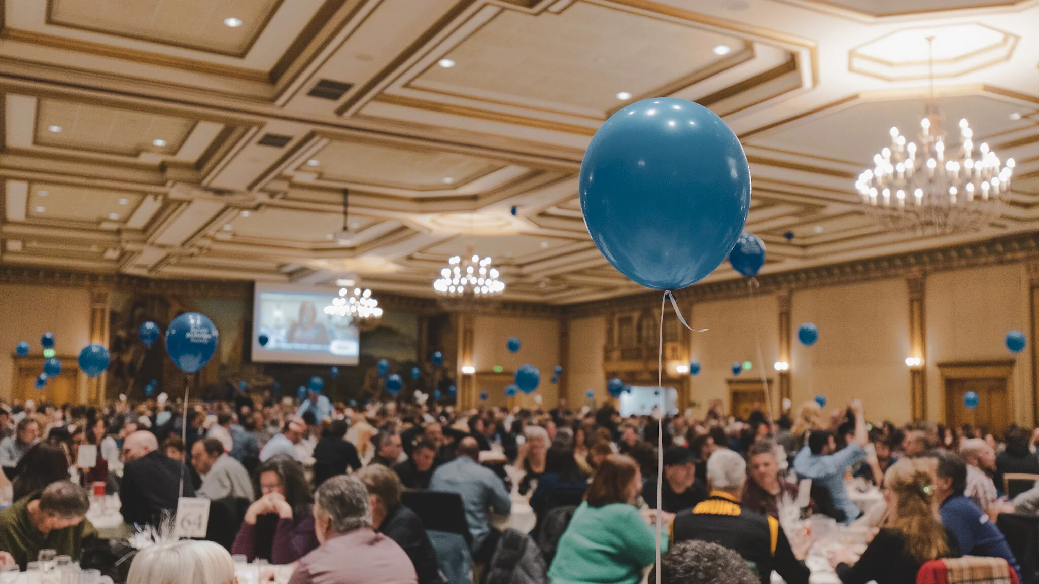 Battle of the Brains