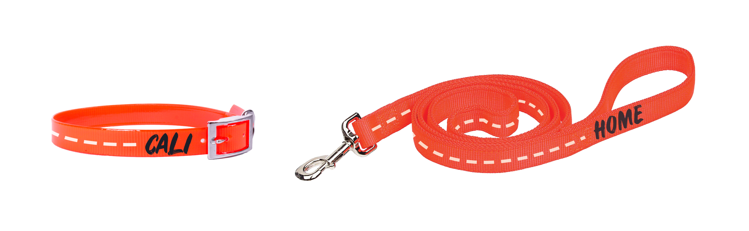 homeward_leash.png