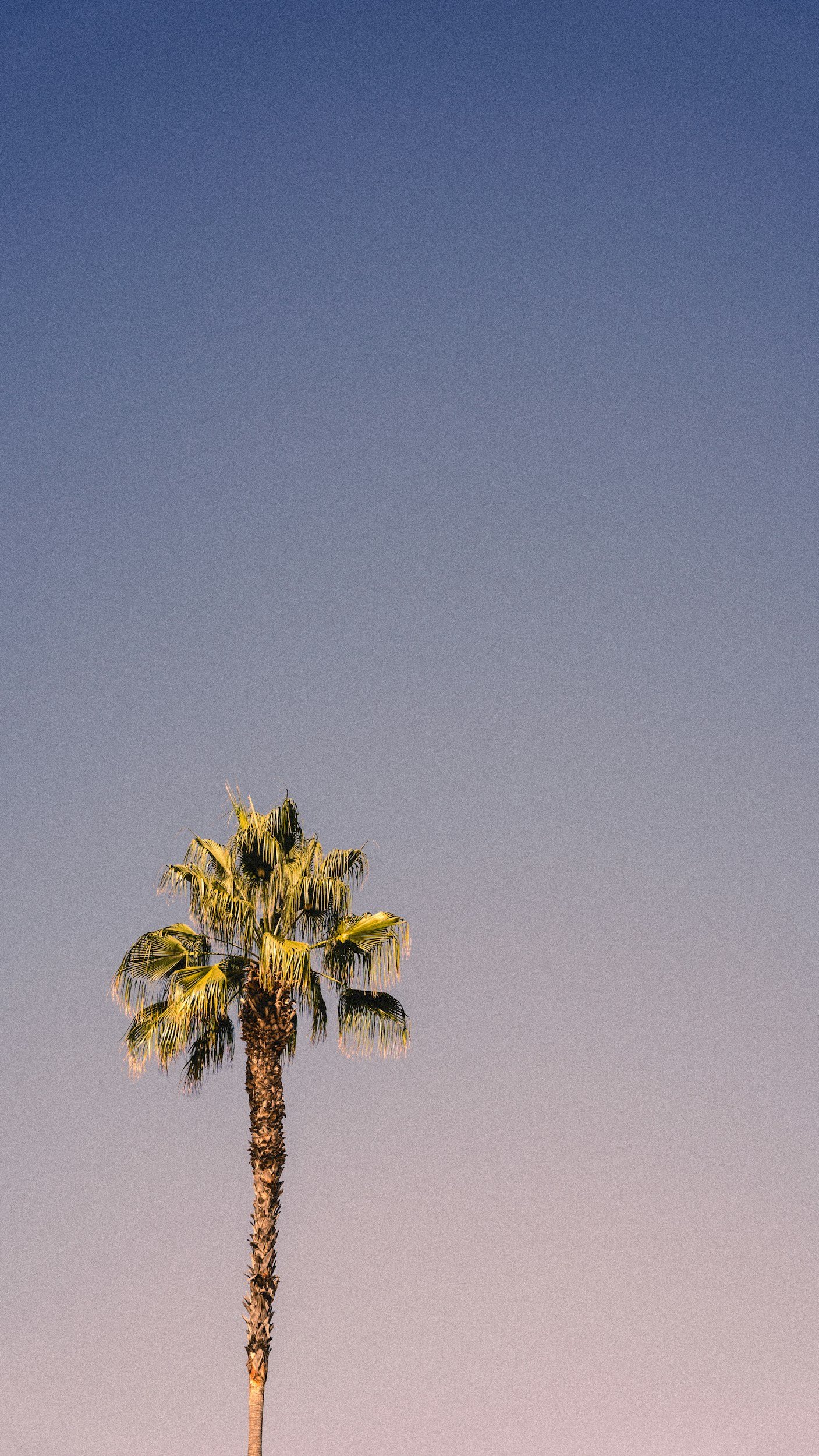 Los Angeles, YouTube Channel Casting Sibling duos and Couples for a fun challenge video