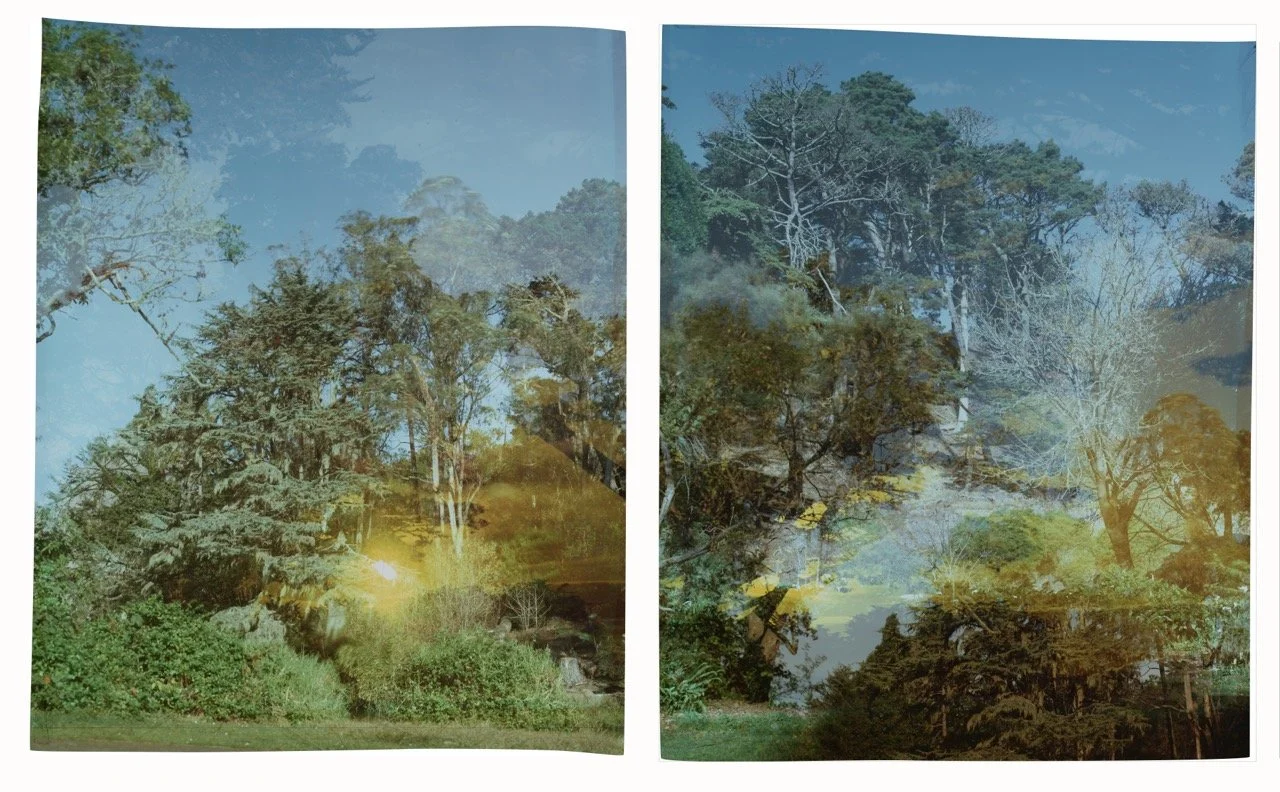 yerba-buena-island-at-Traverse-23 Large.jpeg