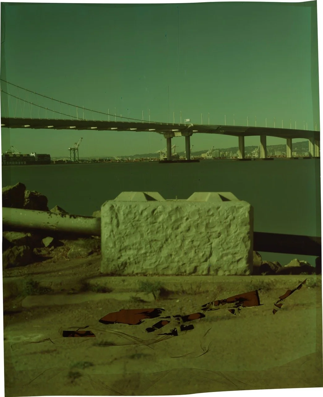 22_1204_chiara32499_clipped Large.jpeg