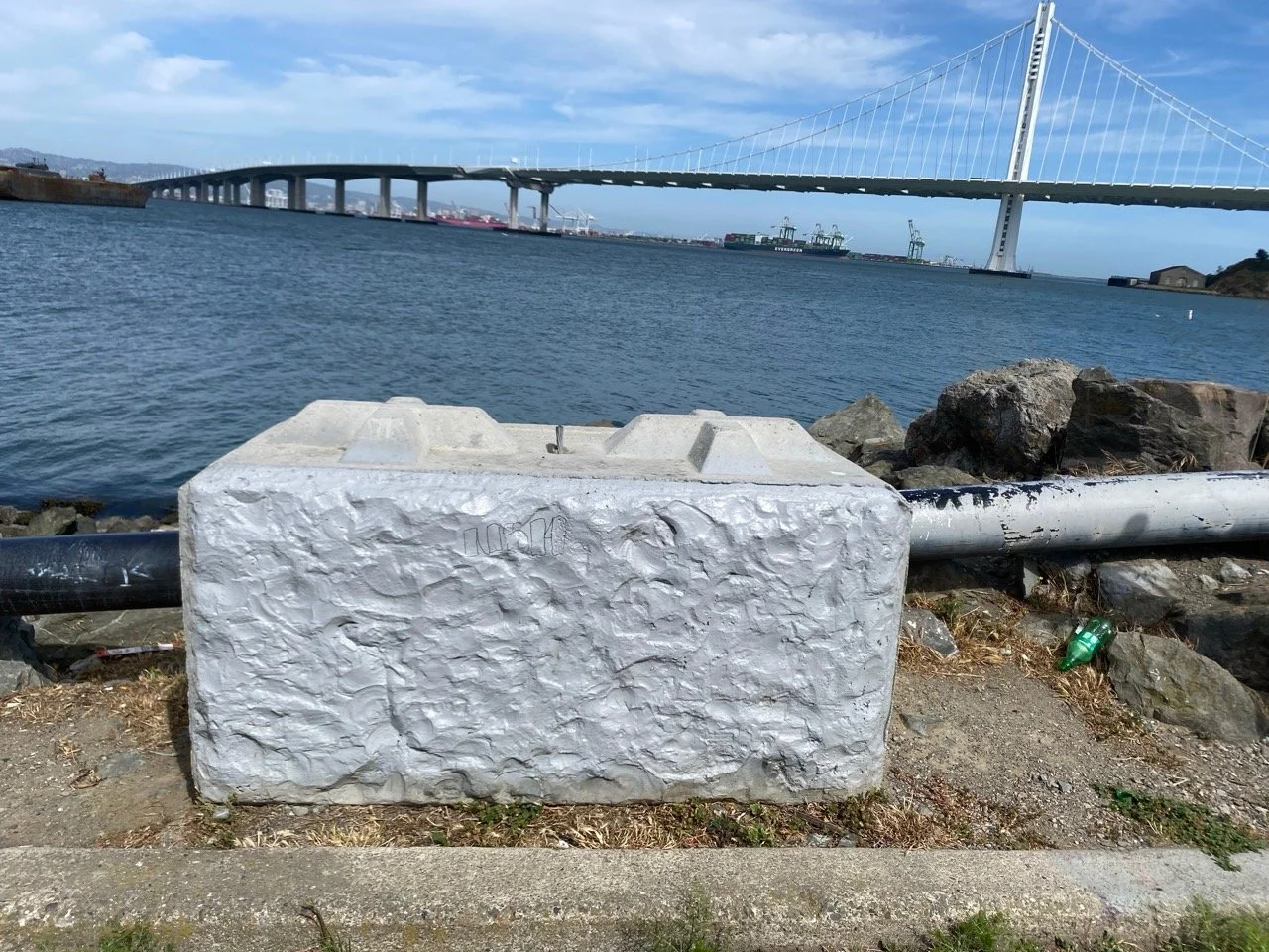 IMG_5703 2 Large.jpeg