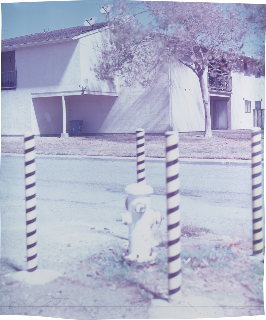 22_1204_chiara32501_clipped Large.jpeg