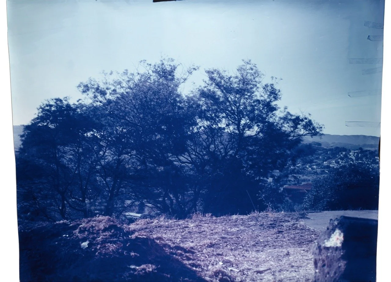 Sequence - 13 Large.jpeg