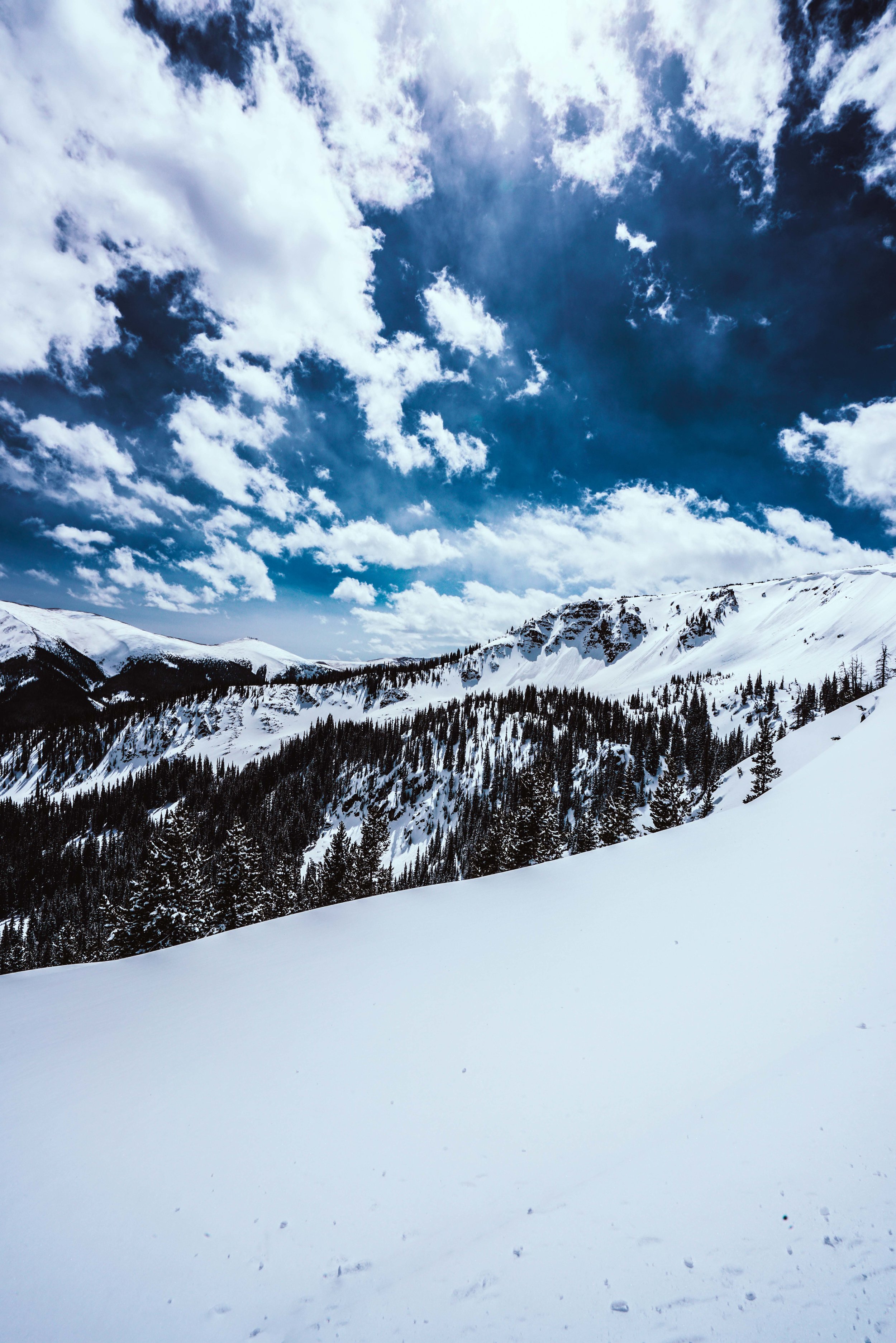 _DSC3426-Edit.jpg