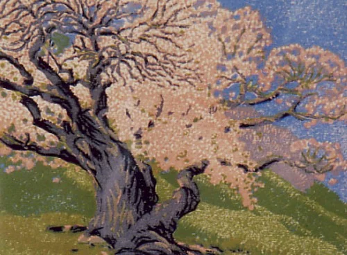 The Bishop's Apricot