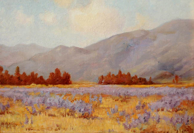 Lupines