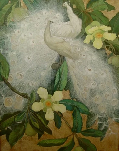 White Peacocks with Gold