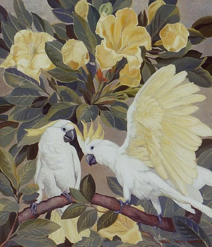Sulphur Crested Cockatoos