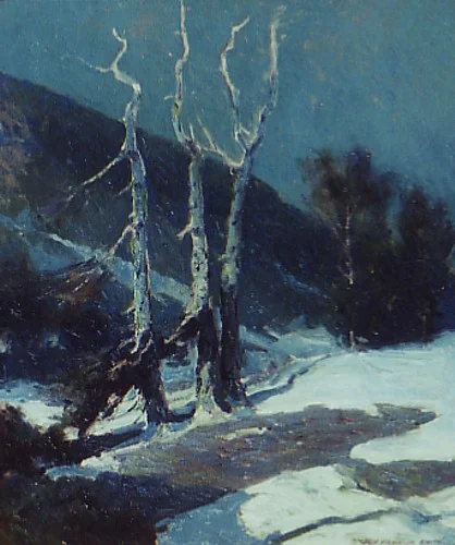 Winter Night