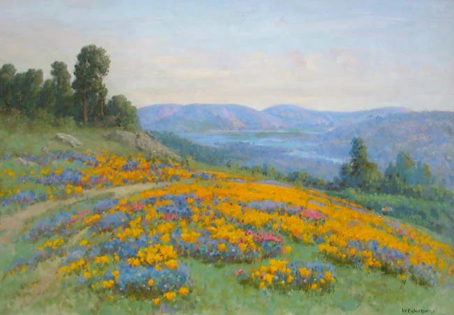 Poppy Field