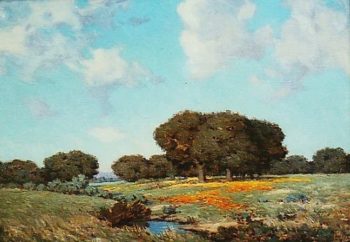 Poppies in Bloom