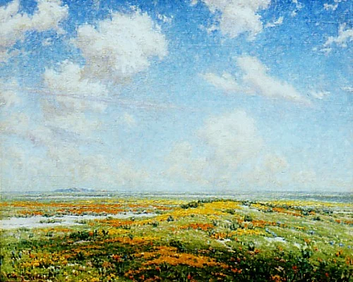 Wildflowers