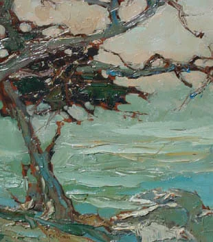Cypress Trees
