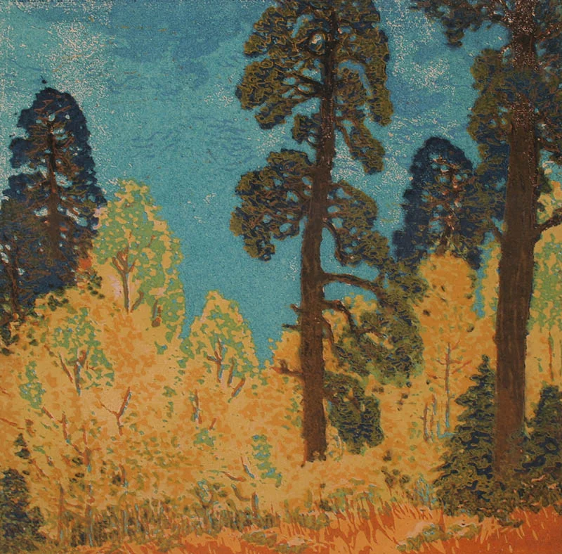 Pine and Aspen