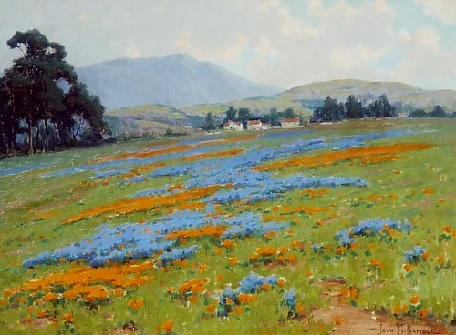 Poppies, Lupine and Houses
