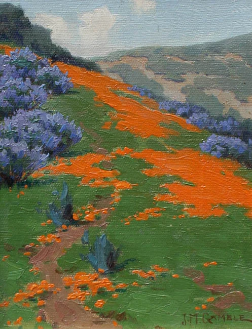 Poppies and Lupines