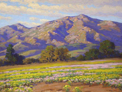 Santa Barbara Landscape