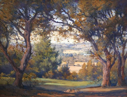 Carmel Valley Oaks