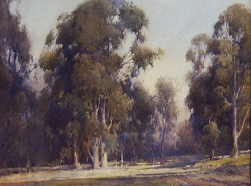 Northern California Trees