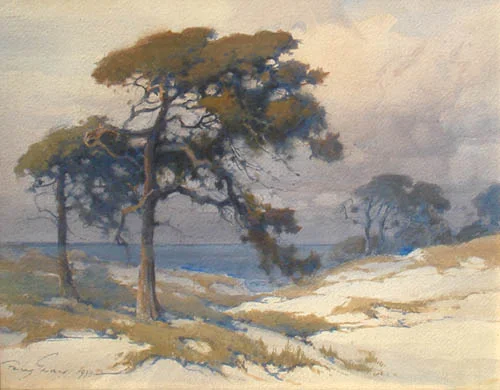 Monterey Pines and Dunes