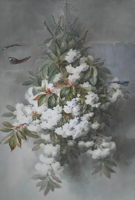 Butterflies