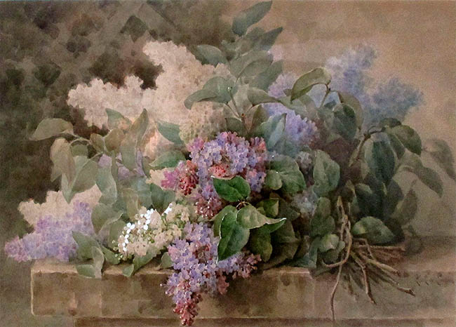 Lilacs