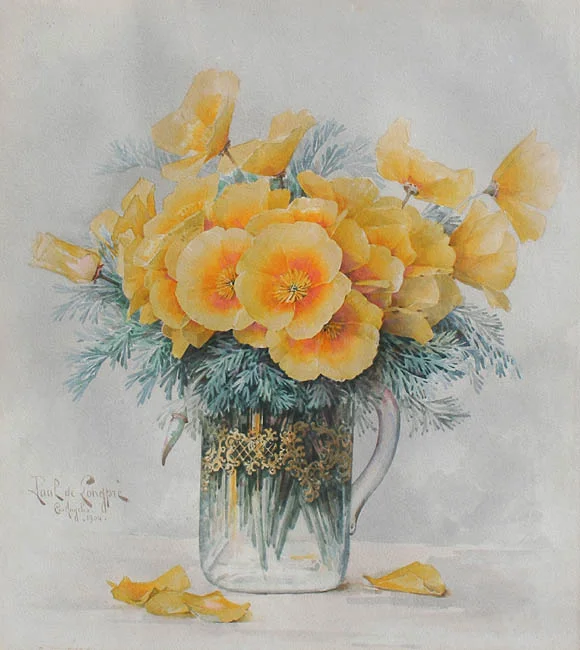 Poppies
