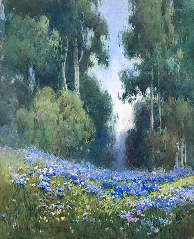 A Forest Glade, Point Lobos
