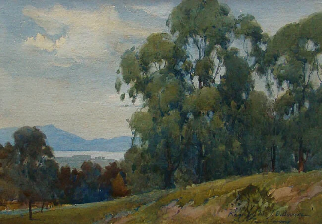 Eucalyptus and Bay