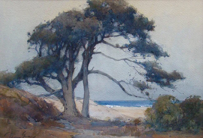 Cypress and Ocean