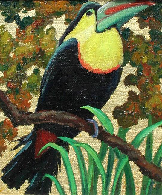 Toucan