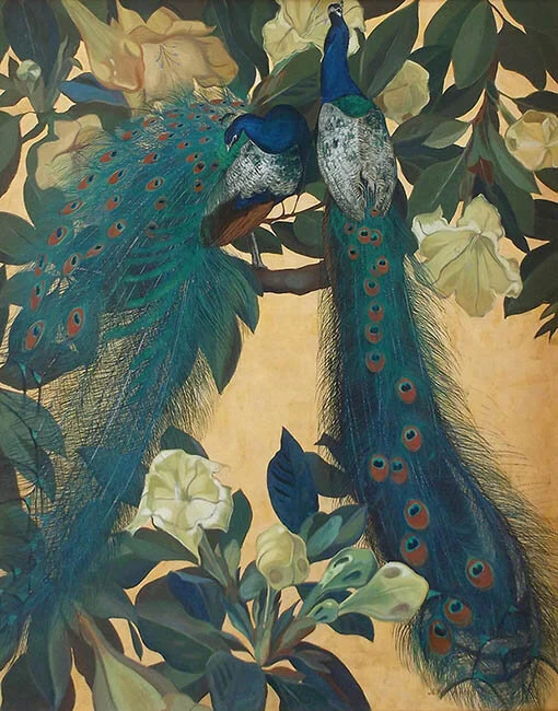 Peacocks