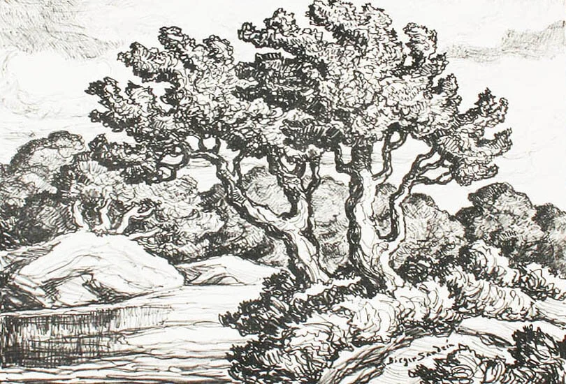 Kansas Stream