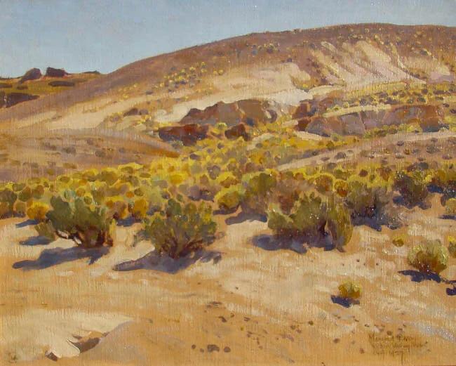 Virgin Valley, Nevada