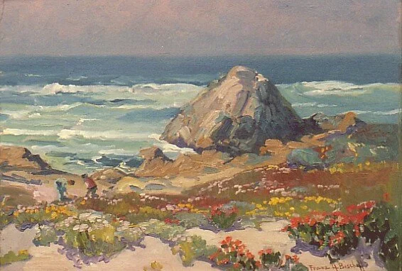 Wildflowers and Ocean