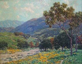 California Poppies