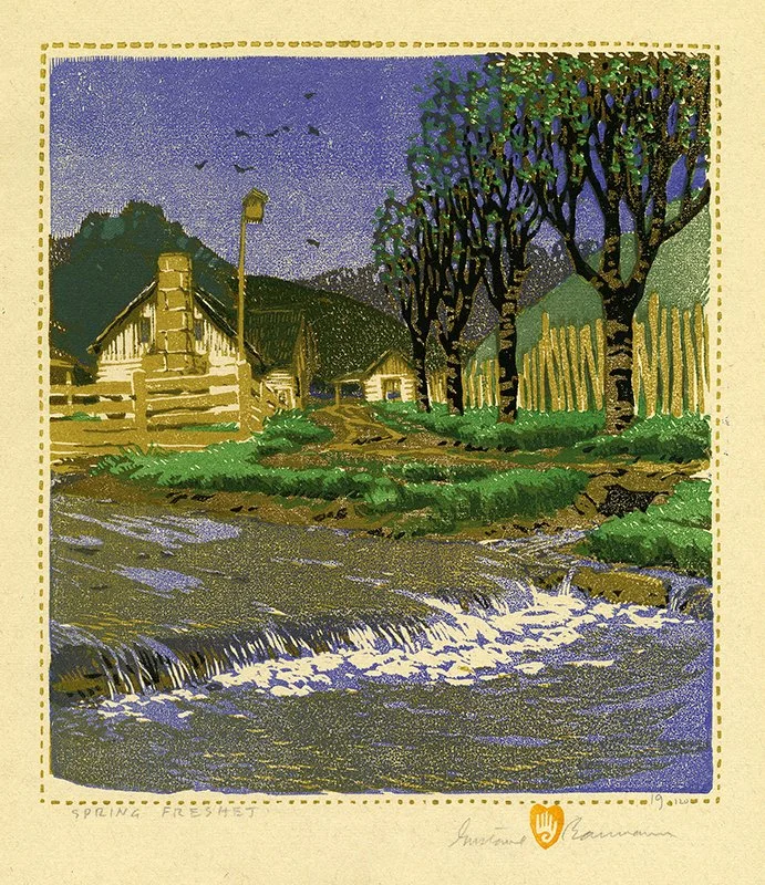 Spring Freshet