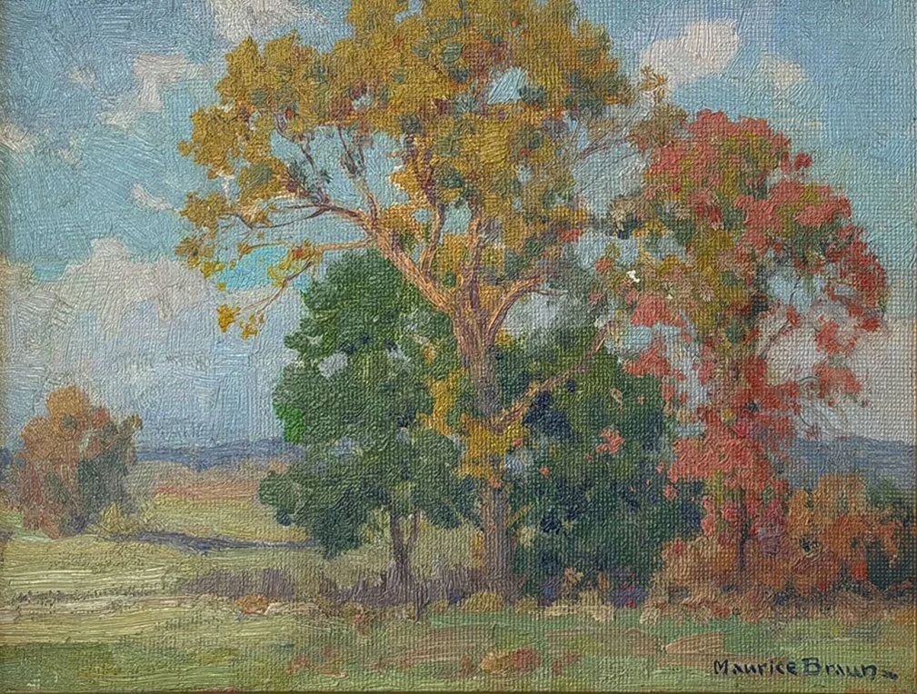 San Diego Landscape
