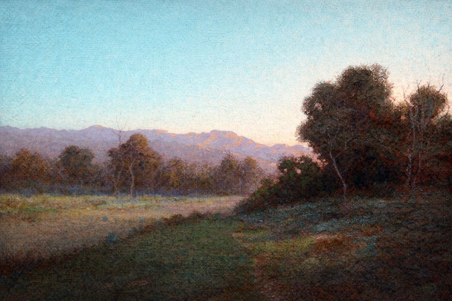 Southern California Landscape