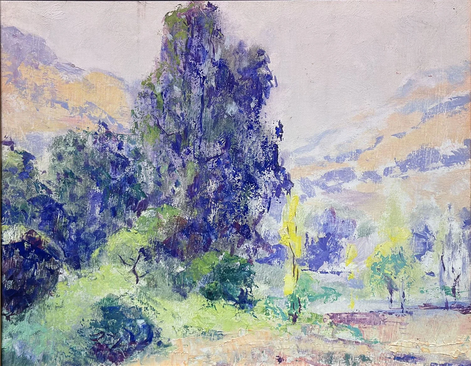 Eucalyptus and Yellow Hills